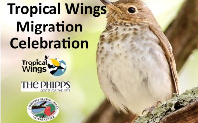 Tropical Wings Migration Celebration May 13 & 14 | free!