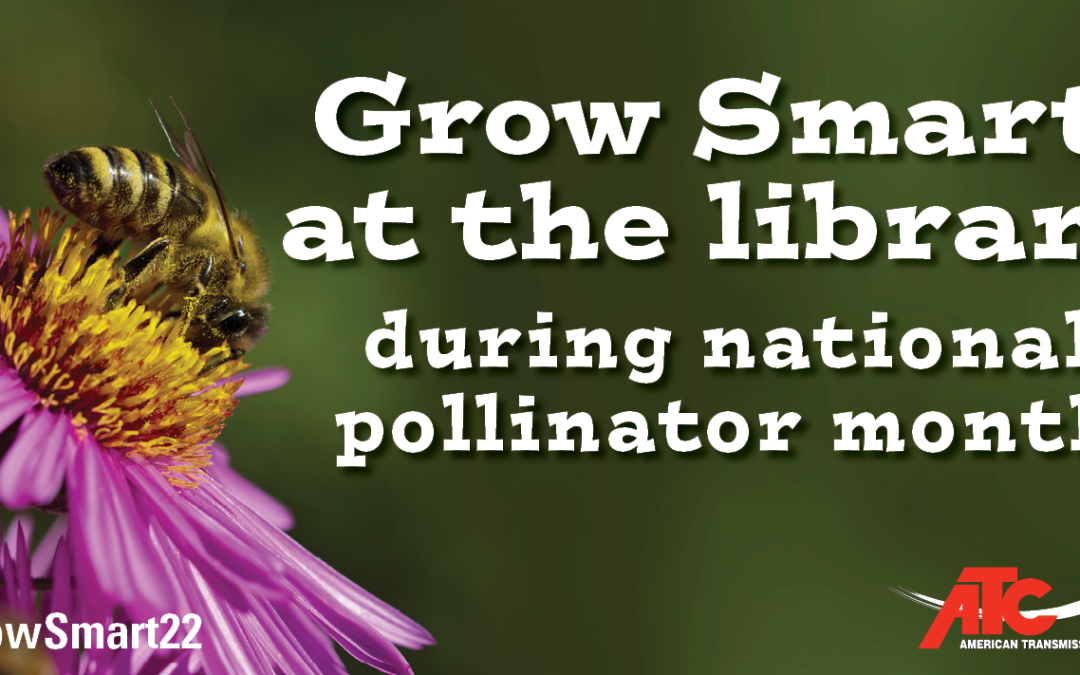 June is National Pollinators Month!